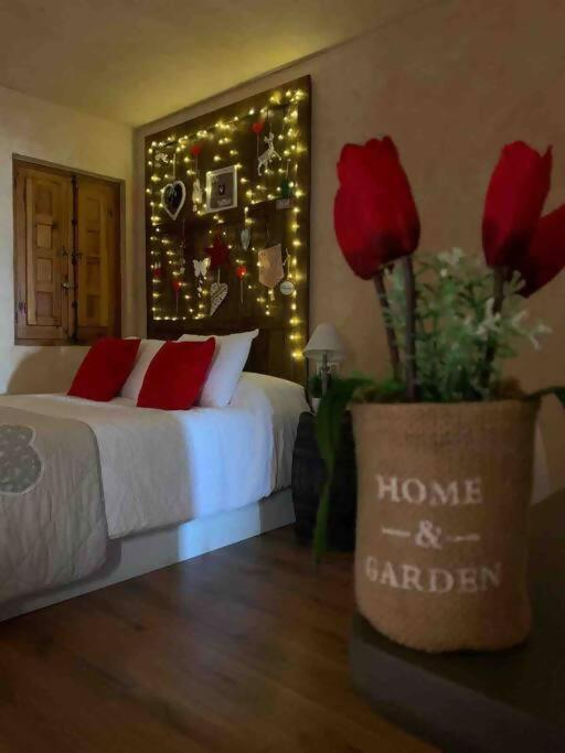 Luxury Danna Plaza Mayor Cuenca  Buitenkant foto